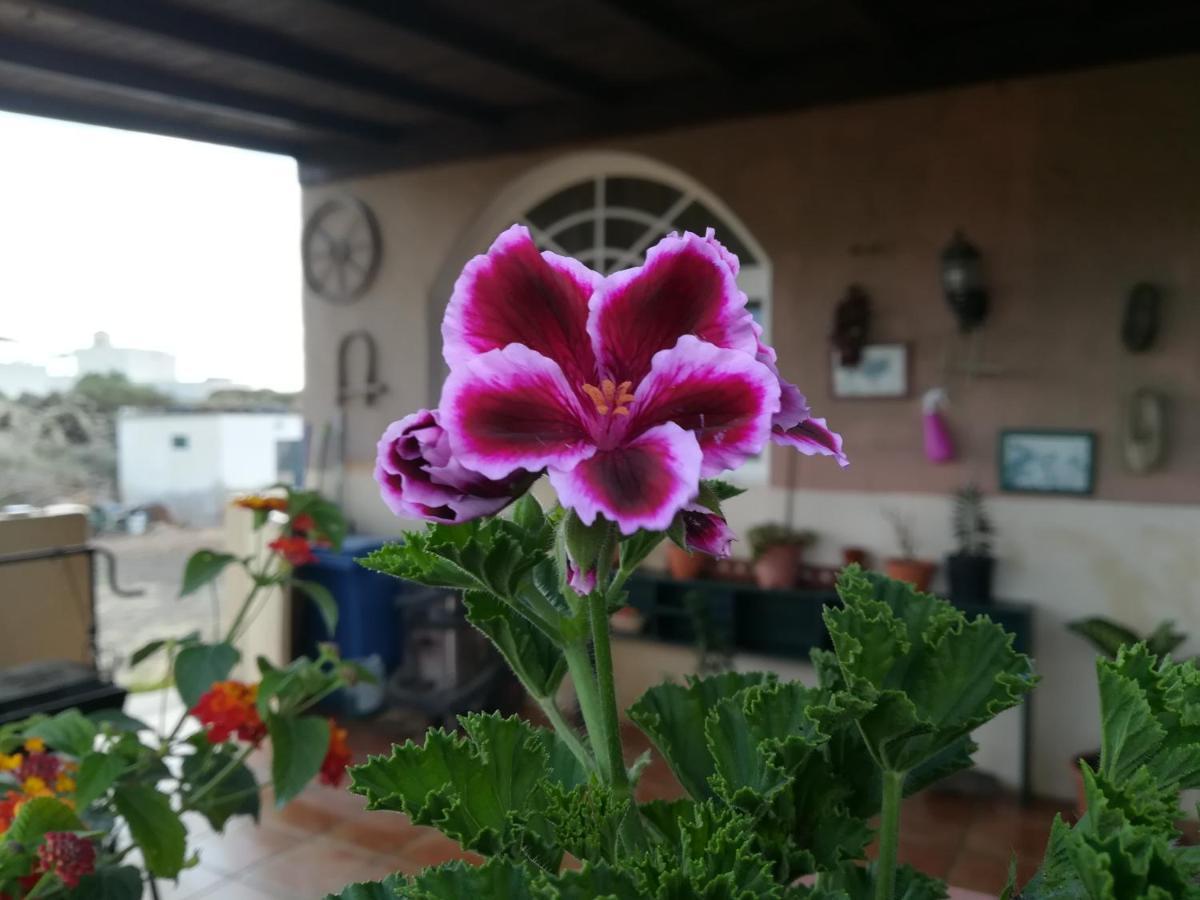 Apartmán Casa Papi Lajares Exteriér fotografie